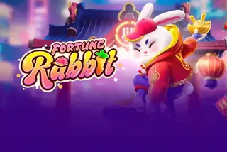 Fortune Rabbit